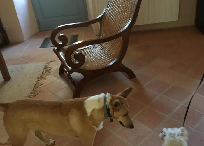 Maison Perigourdine Avec Piscine Privee, Wifi, Animaux Acceptes A Proximite De Lascaux - Fr-1-616-460 Ferienhaus *