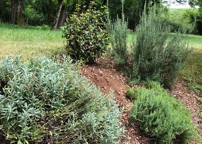 Maison Perigourdine Avec Piscine Privee, Wifi, Animaux Acceptes A Proximite De Lascaux - Fr-1-616-460 Terrasson